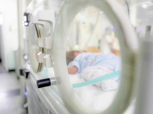 What are the negative effects of noise on premature babies?